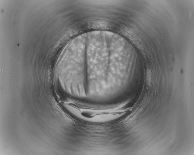 X0000088600449200706151805