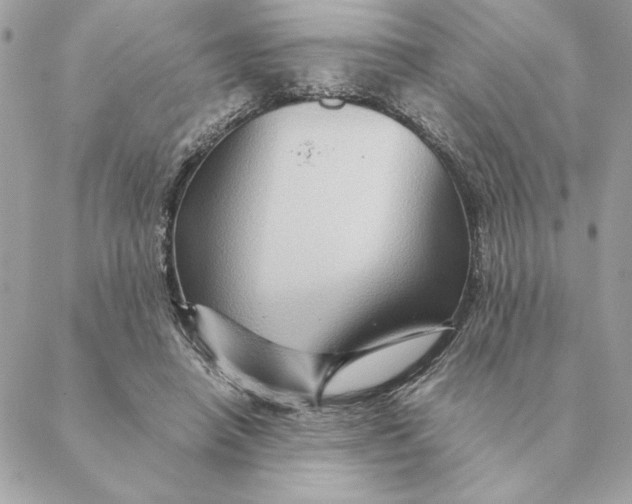 X0000088600450200706151805