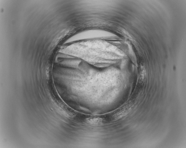 X0000088600452200706151805