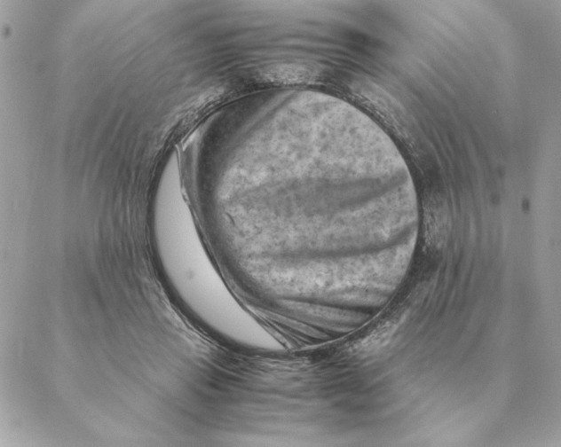 X0000088600453200706151805