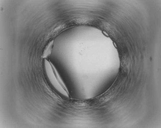 X0000088600454200706151805