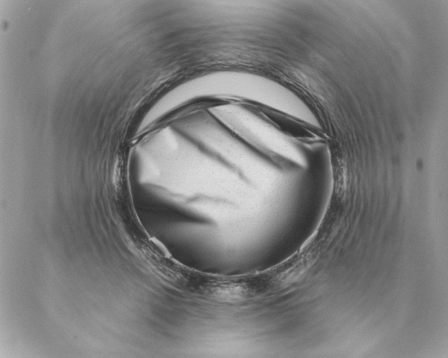 X0000088600456200706151805