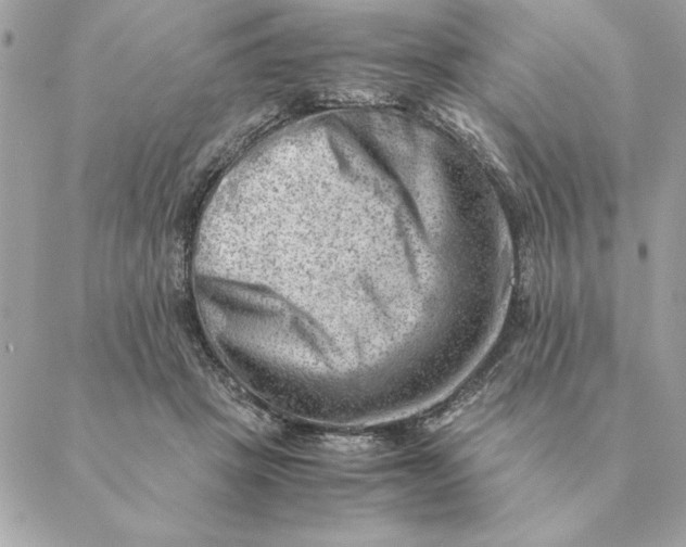 X0000088600457200706151805