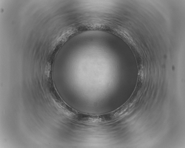 X0000088600458200706151805