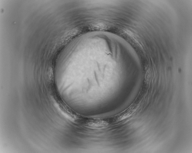 X0000088600459200706151805