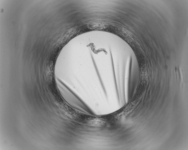 X0000088600460200706151805