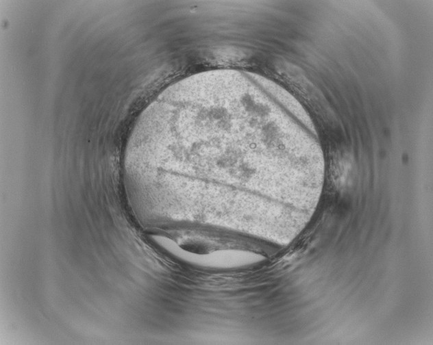 X0000088600461200706151805