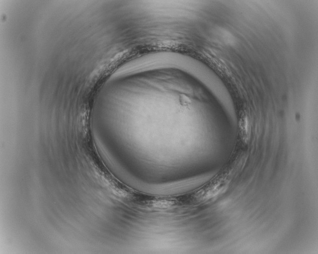 X0000088600462200706151806