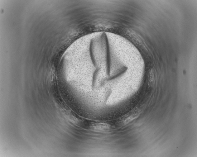 X0000088600463200706151806