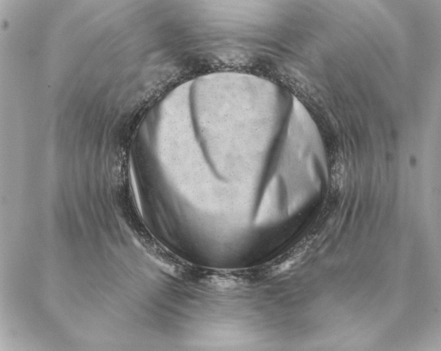 X0000088600464200706151806