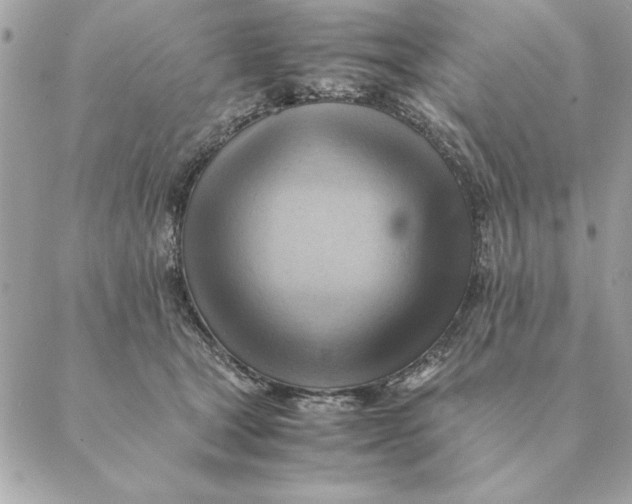 X0000088600465200706151806