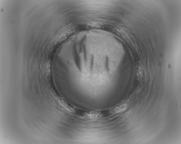 X0000088600466200706151806