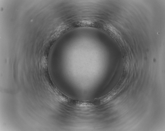 X0000088600467200706151806