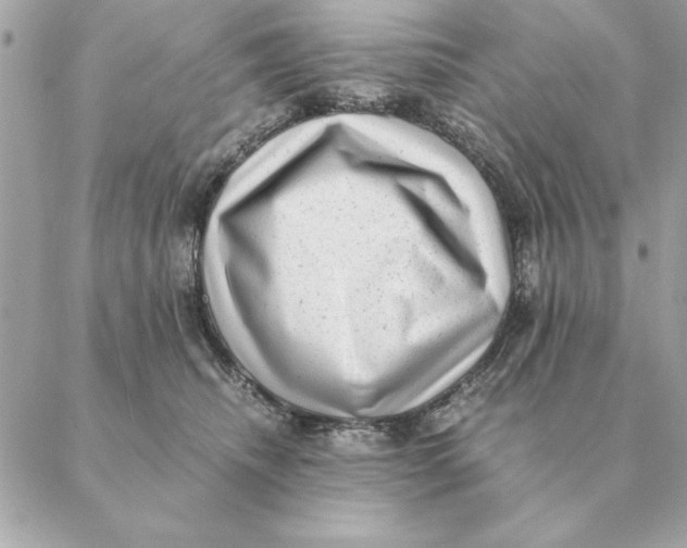 X0000088600468200706151806