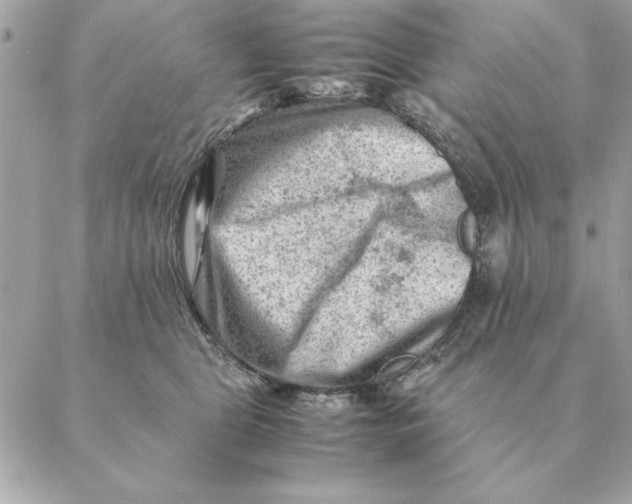 X0000088600469200706151806