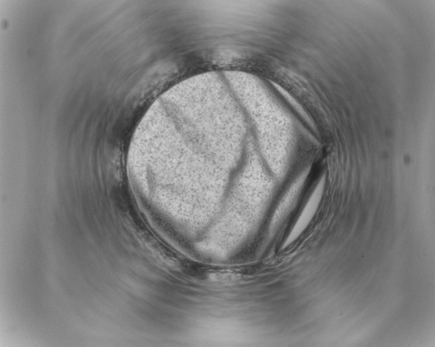 X0000088600470200706151806