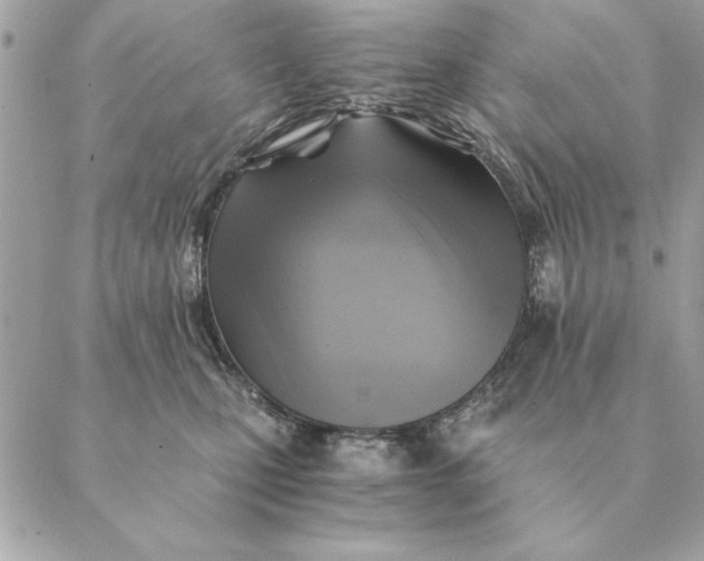 X0000088600471200706151806