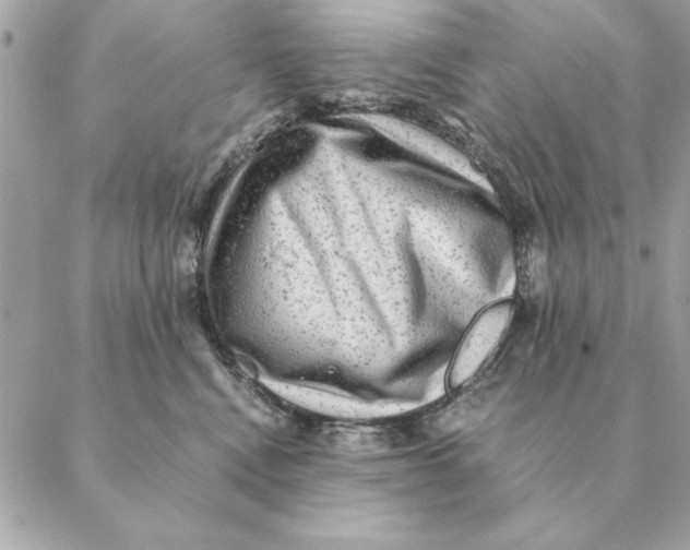 X0000088600472200706151806