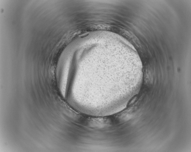 X0000088600473200706151806