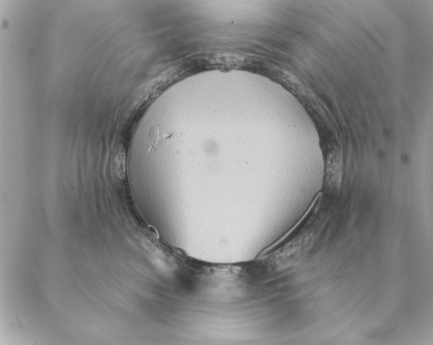 X0000088600474200706151806