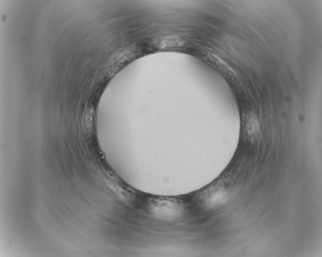 X0000088600475200706151806