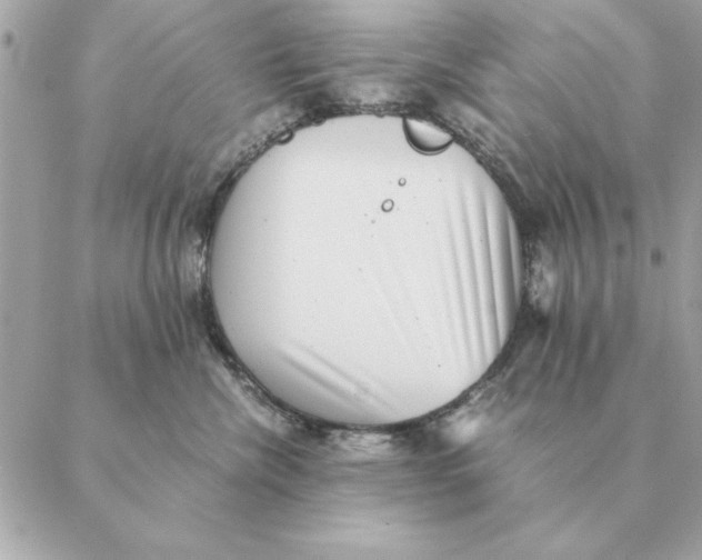 X0000088600476200706151806