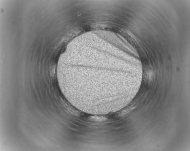 X0000088600477200706151806