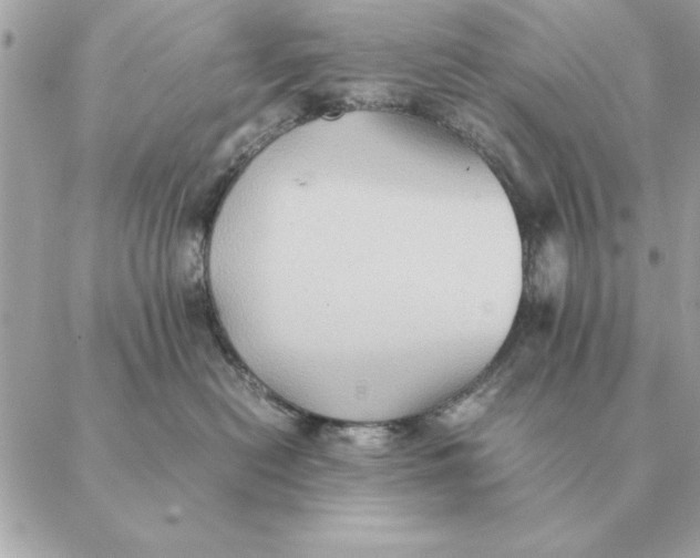 X0000088600478200706151806