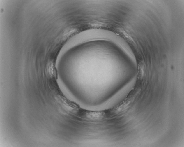 X0000088600479200706151806