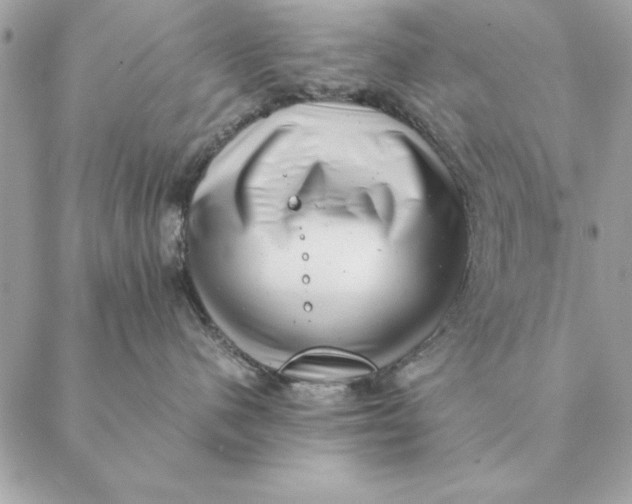 X0000088600480200706151806