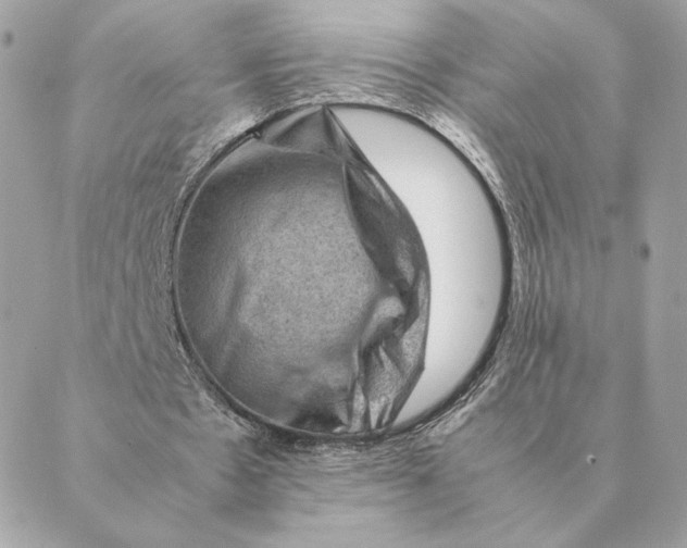 X0000088600481200706151805