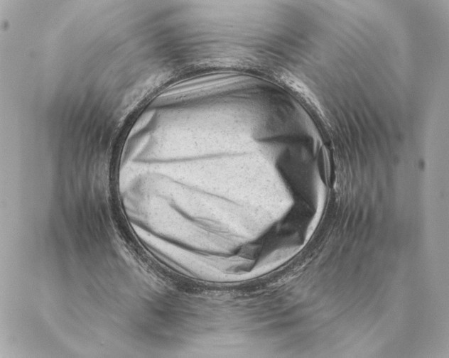 X0000088600482200706151805