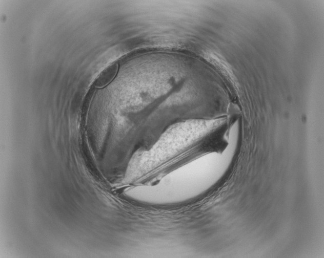 X0000088600483200706151805