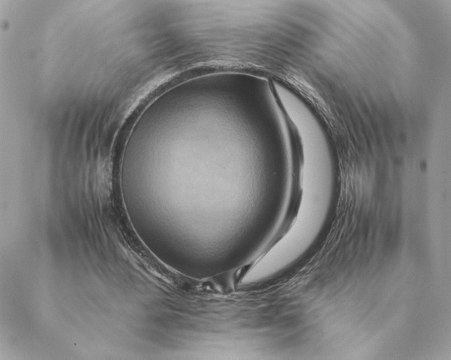 X0000088600484200706151805