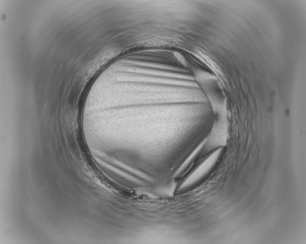 X0000088600485200706151805