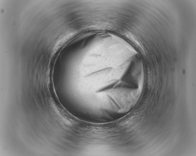 X0000088600486200706151805