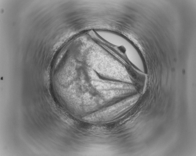 X0000088600487200706151805