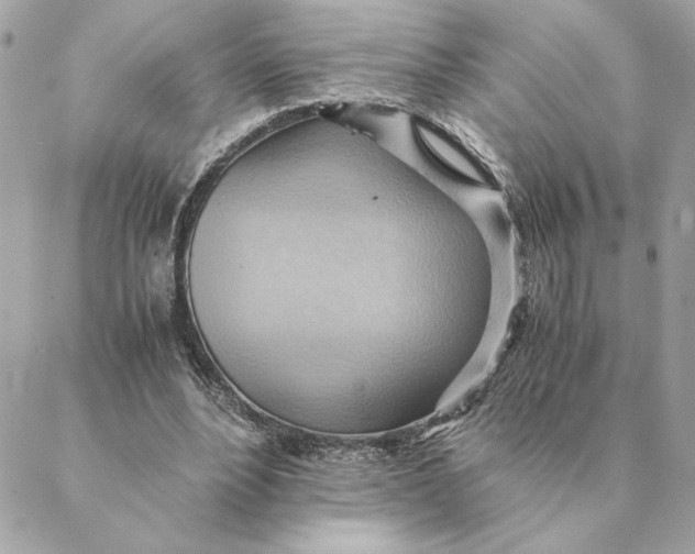 X0000088600488200706151805