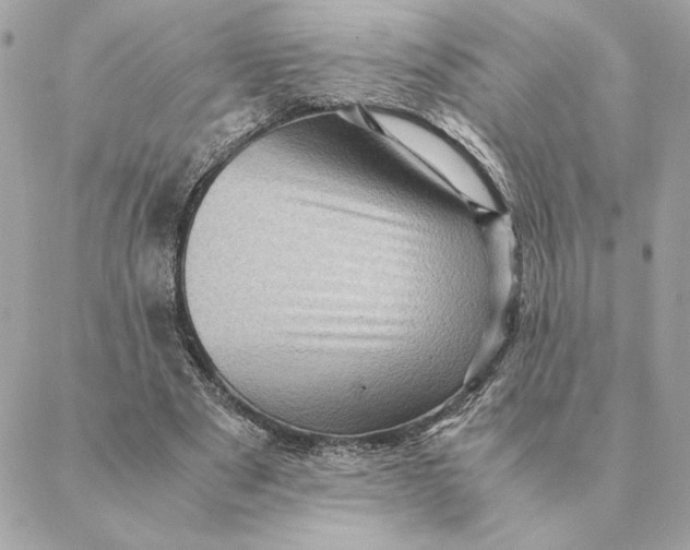 X0000088600489200706151805