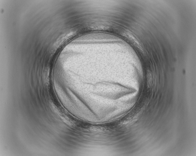 X0000088600490200706151805