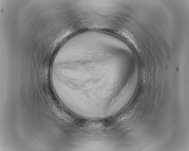 X0000088600491200706151805