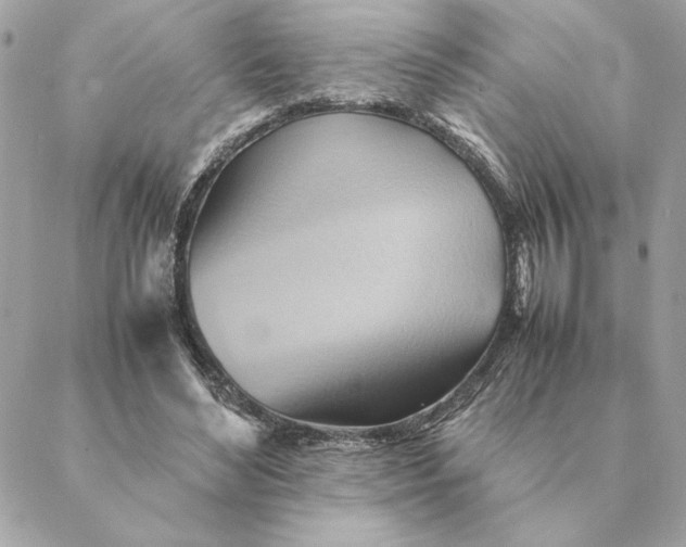 X0000088600492200706151805