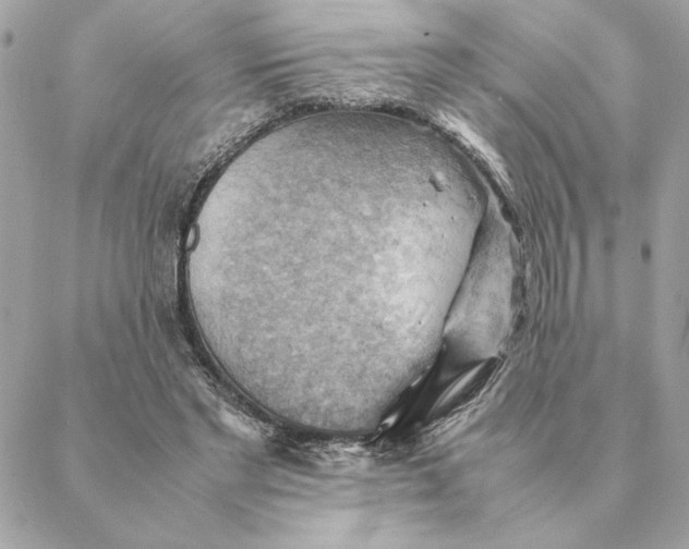 X0000088600493200706151805