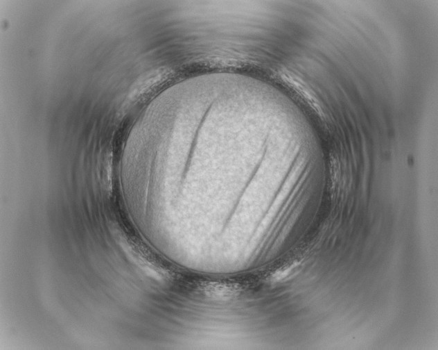 X0000088600494200706151805