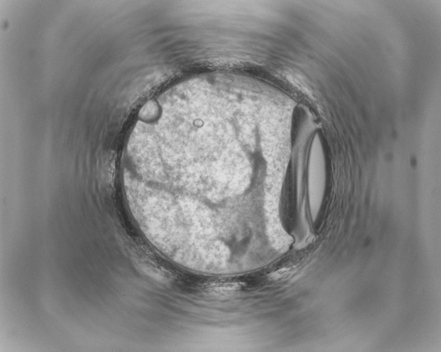 X0000088600495200706151805