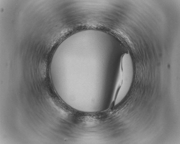 X0000088600496200706151805