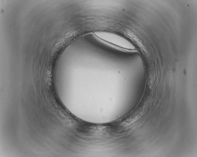 X0000088600497200706151805