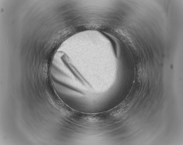 X0000088600498200706151805