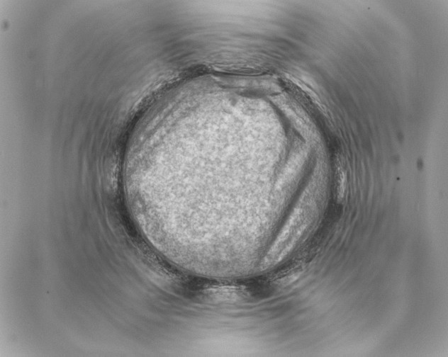 X0000088600499200706151805