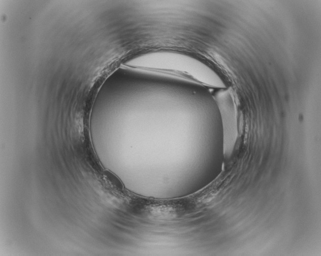 X0000088600500200706151805